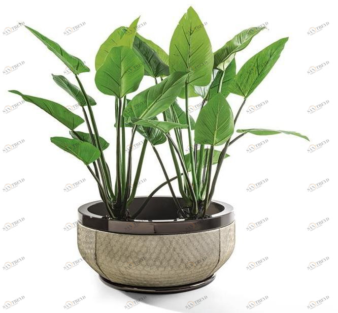 Longhi Круглая прихватка Loveluxe 2020 – sartoria collection Y 712