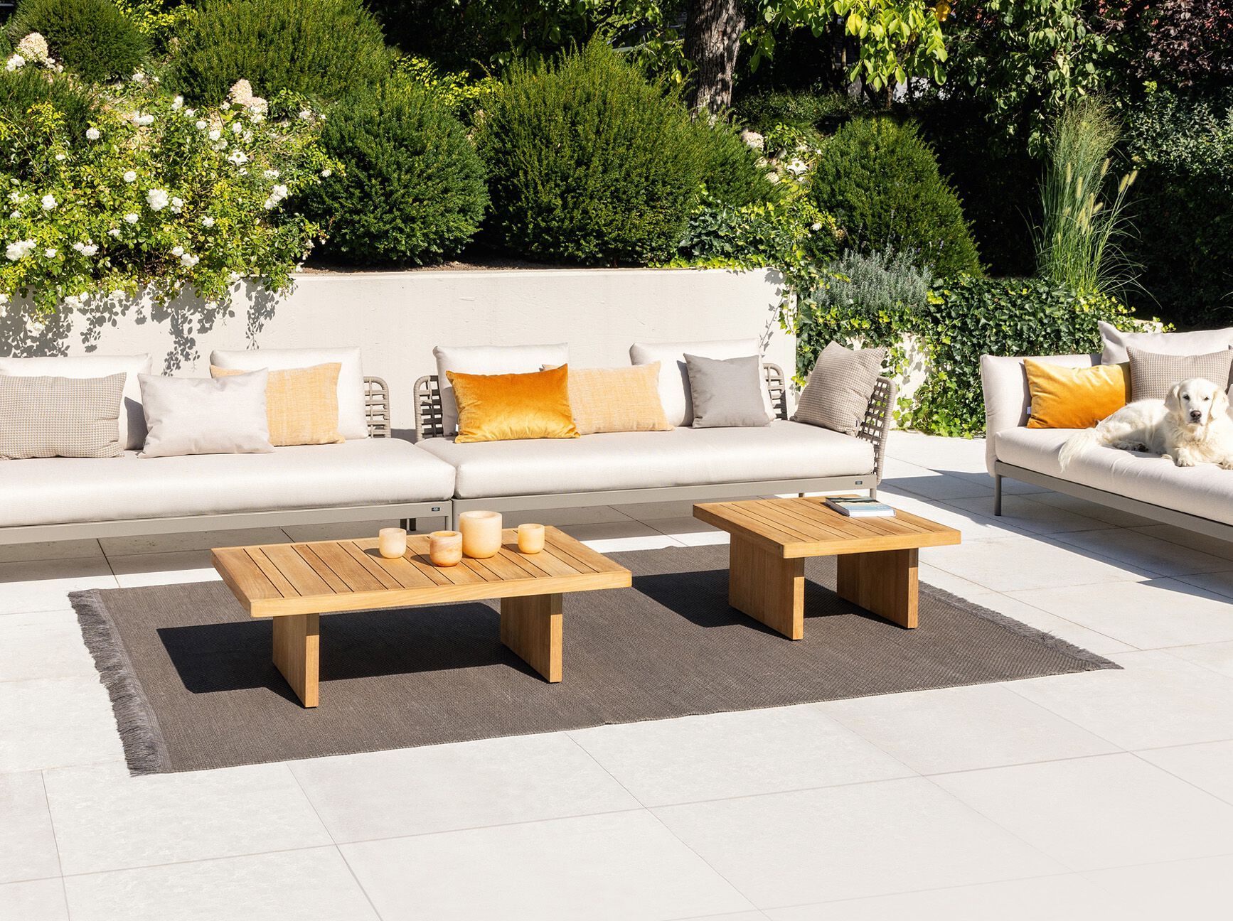 Прямоугольный журнальный столик из тикового дерева FISCHER MÖBEL ARCH-00000301 - Вид №1