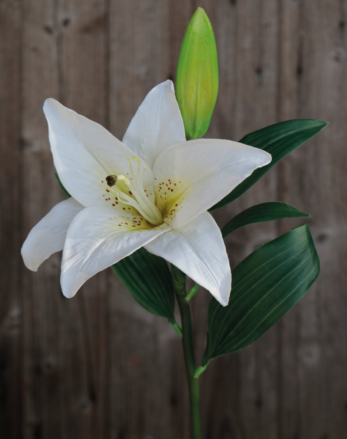 3211 708 a3 Искусственная лилия, 45 см, бело-зеленая H-andreas 