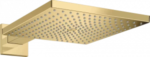 26238990 Raindance E Верхний душ 300 1jet с держателем для душа Hansgrohe