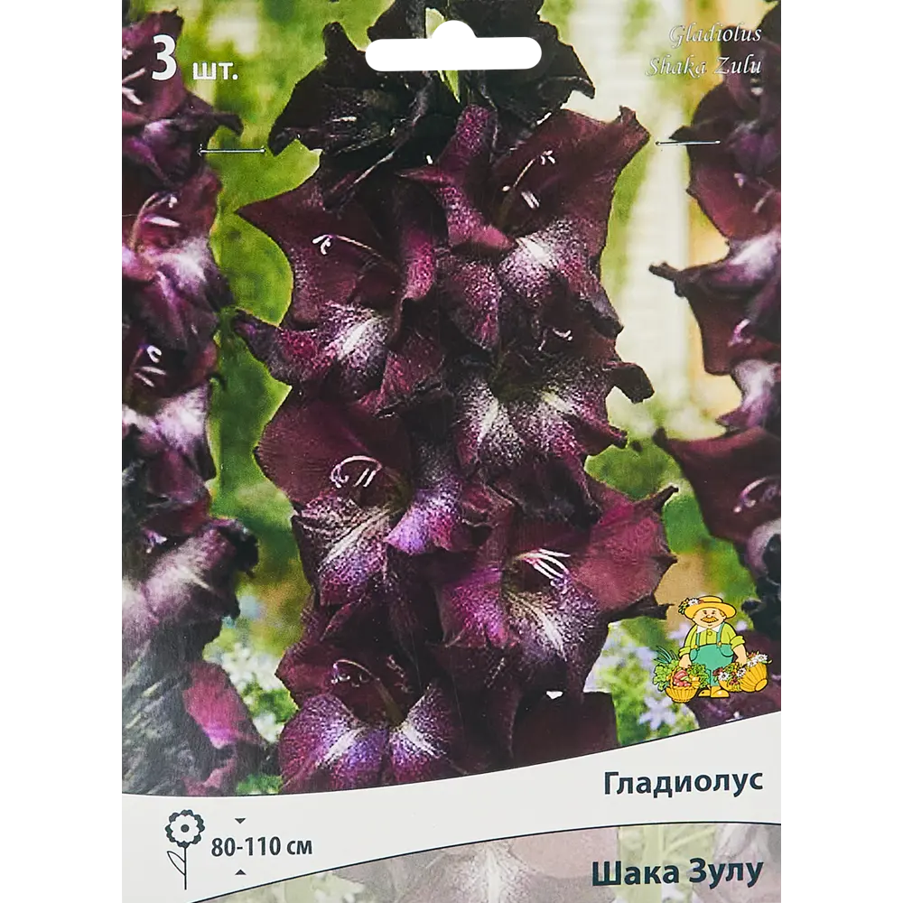 Гладиолус крупноцветковый Шака Зулу, 3 шт 86410018 STLM-2081631 ПОИСК 