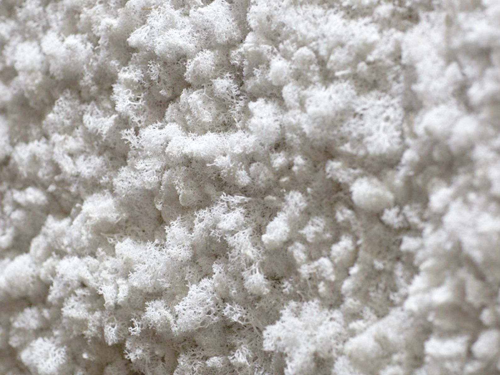 Растительная картина из мха Freund GmbH ARCH-00015463 - Вид №6