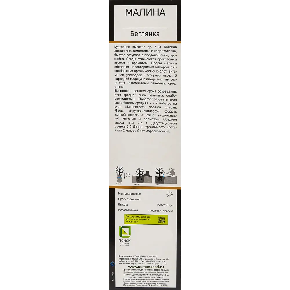 Малина Беглянка h20 см Поиск 84107835 STLM-2016912 Santreyd  - Вид №3