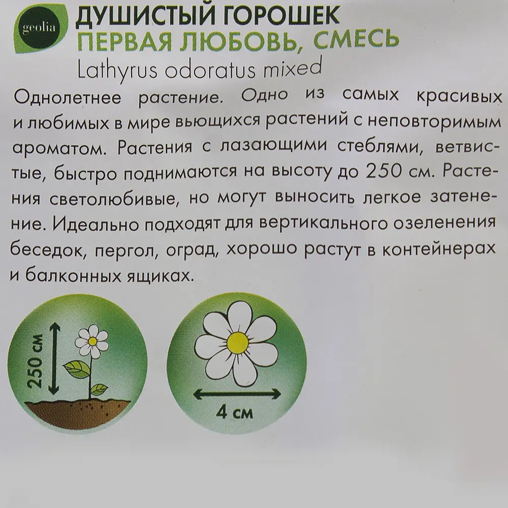 GEOLIA Душистый горошек Первая любовь - вьющееся украшение сада 17585623 STLM-0008395 - Вид №2