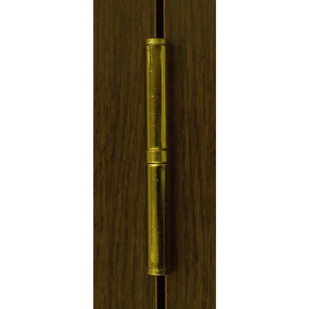 Петля левая 113-4 100x70x2.5 мм сталь цвет матовое золото 13964976 STLM-2007681 Santreyd  - Вид №4