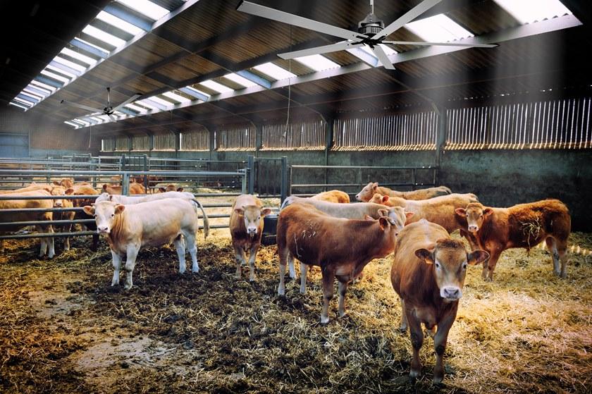 Vortice Nordik hvls super blade  61082  - Вид №6