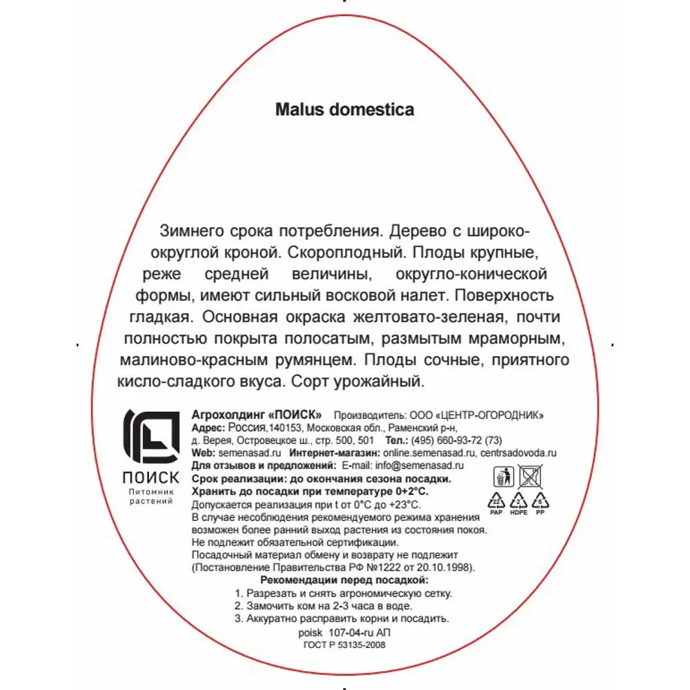 Яблоня Лобо в тубе Поиск Инвест 83791290 STLM-2123216 Santreyd  - Вид №2