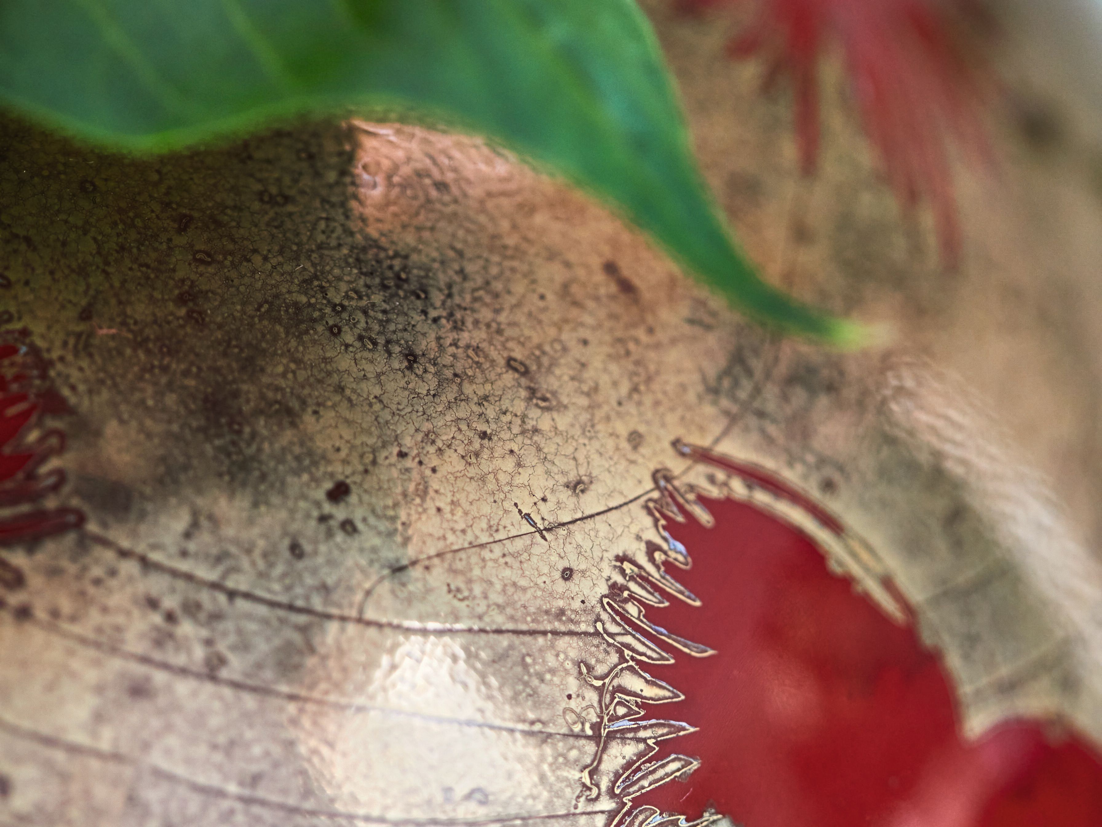 Керамическая круглая ваза K-3 Maiko ARCH-00002765