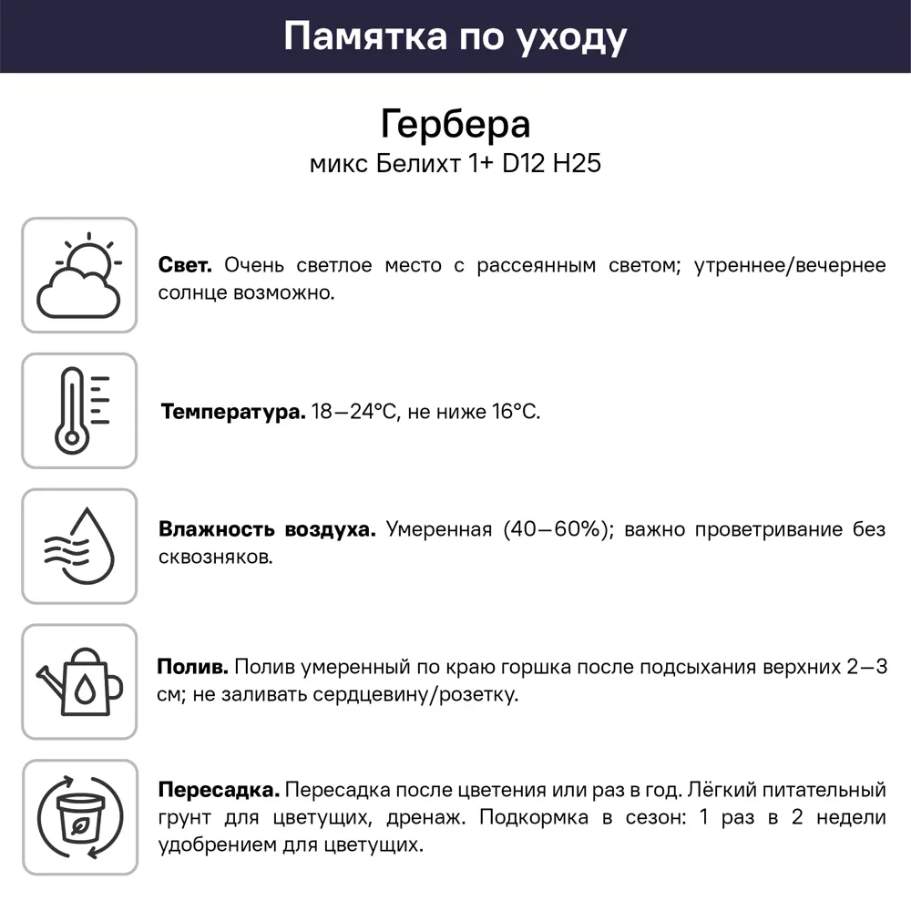 Гербера Белихт микс 1 плюс ø12 h25 см 89434599 STLM-2126836 Santreyd  - Вид №5