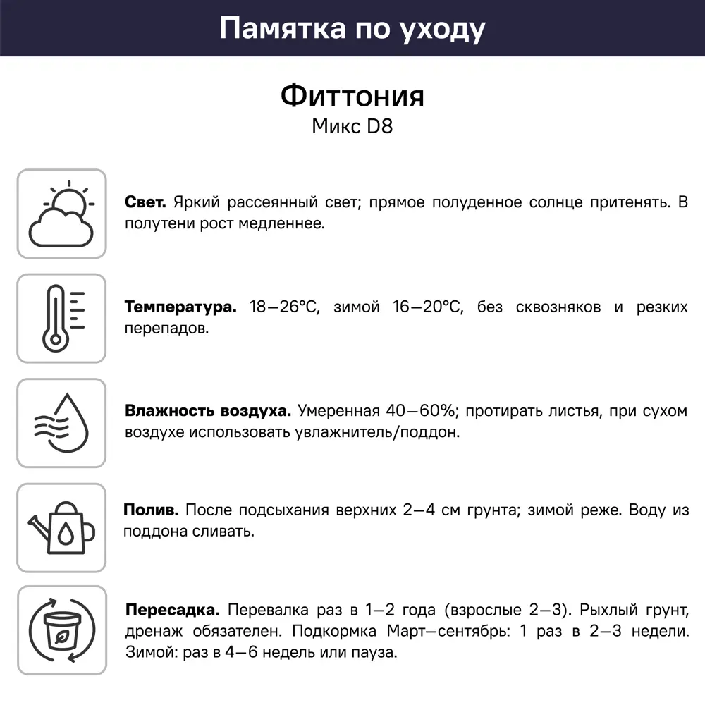 Фиттония микс ø8 h8 см 89447772 STLM-2101254 Santreyd  - Вид №6