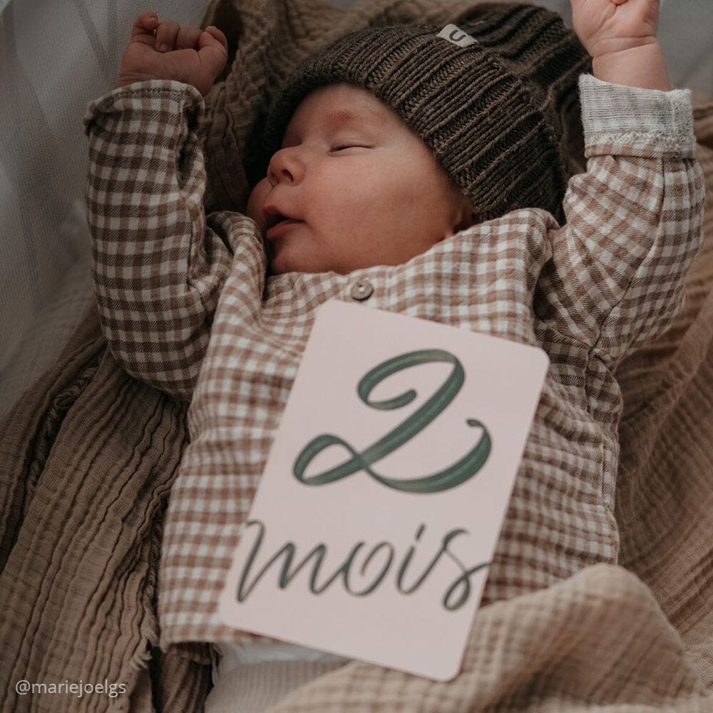 Набор из 24 карт Charlie Crane MY FIRST YEAR MILESTONE ARCH-00125799 - Вид №4