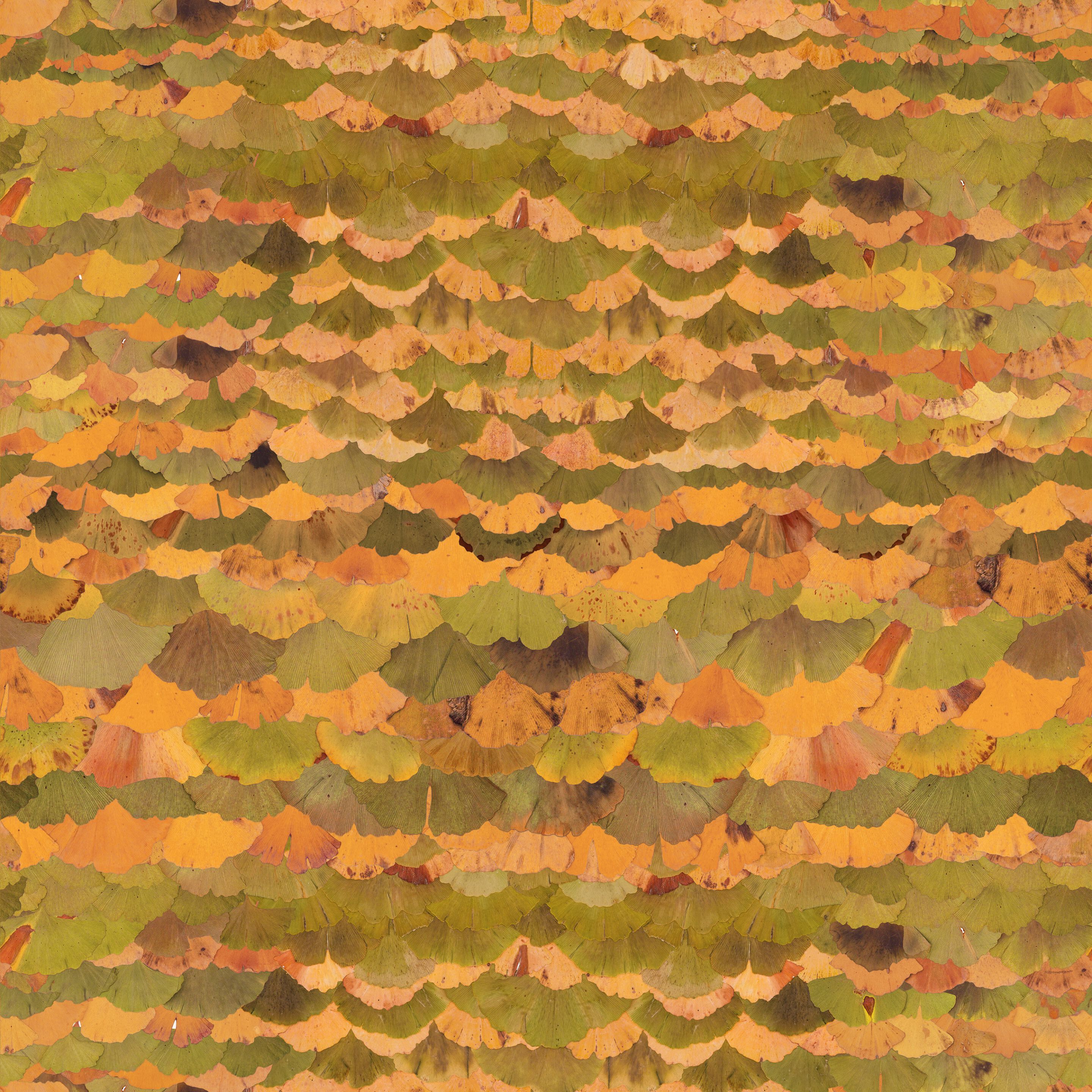 Обои с цифровой печатью Inkiostro Bianco Флора ARCH-00139584 - Вид №2