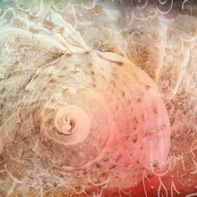 2059/CX38 Картина 2059 Adriani e Rossi 