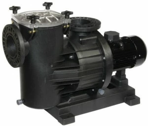 Dab Pumps Центробежный электронасос для бассейнов
