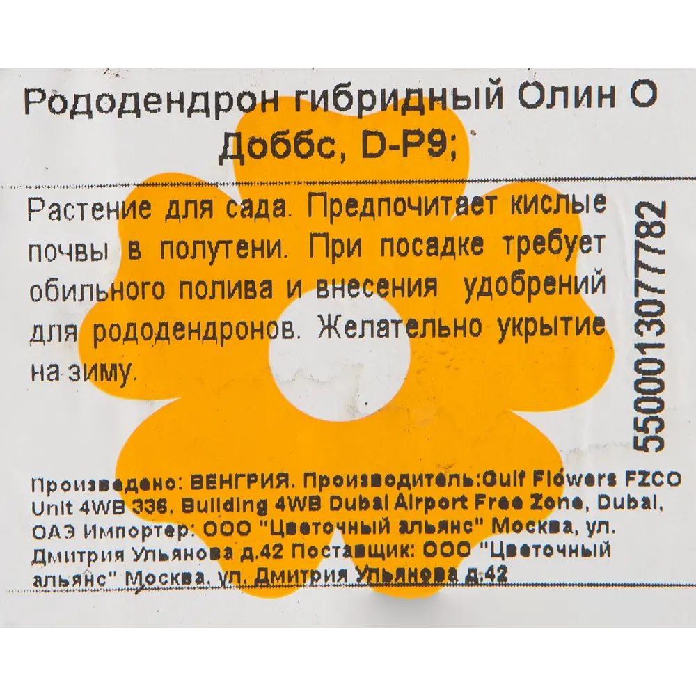 Рододендрон гибридный «Олин О Доббс» 9x20 см 82601839 STLM-2122292 Santreyd  - Вид №1