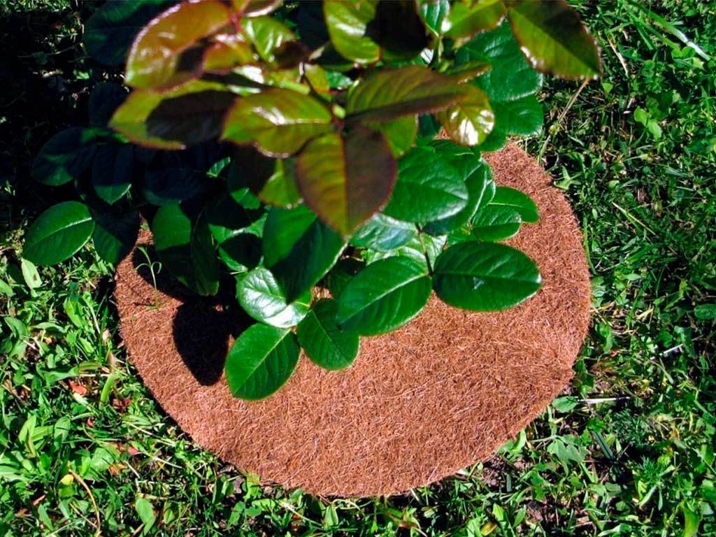 Круг приствольный Мульчаграм 90 см, комплект - 5шт ГеоПластБорд GPBST-246 - Вид №9