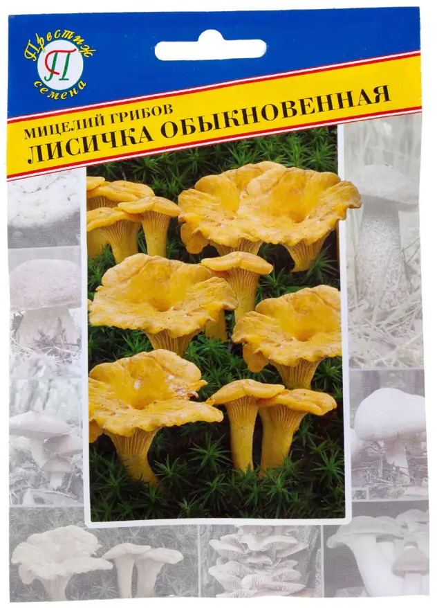 Мицелий лисички обыкновенной ПРЕСТИЖ СЕМЕНА для домашнего выращивания 17301782