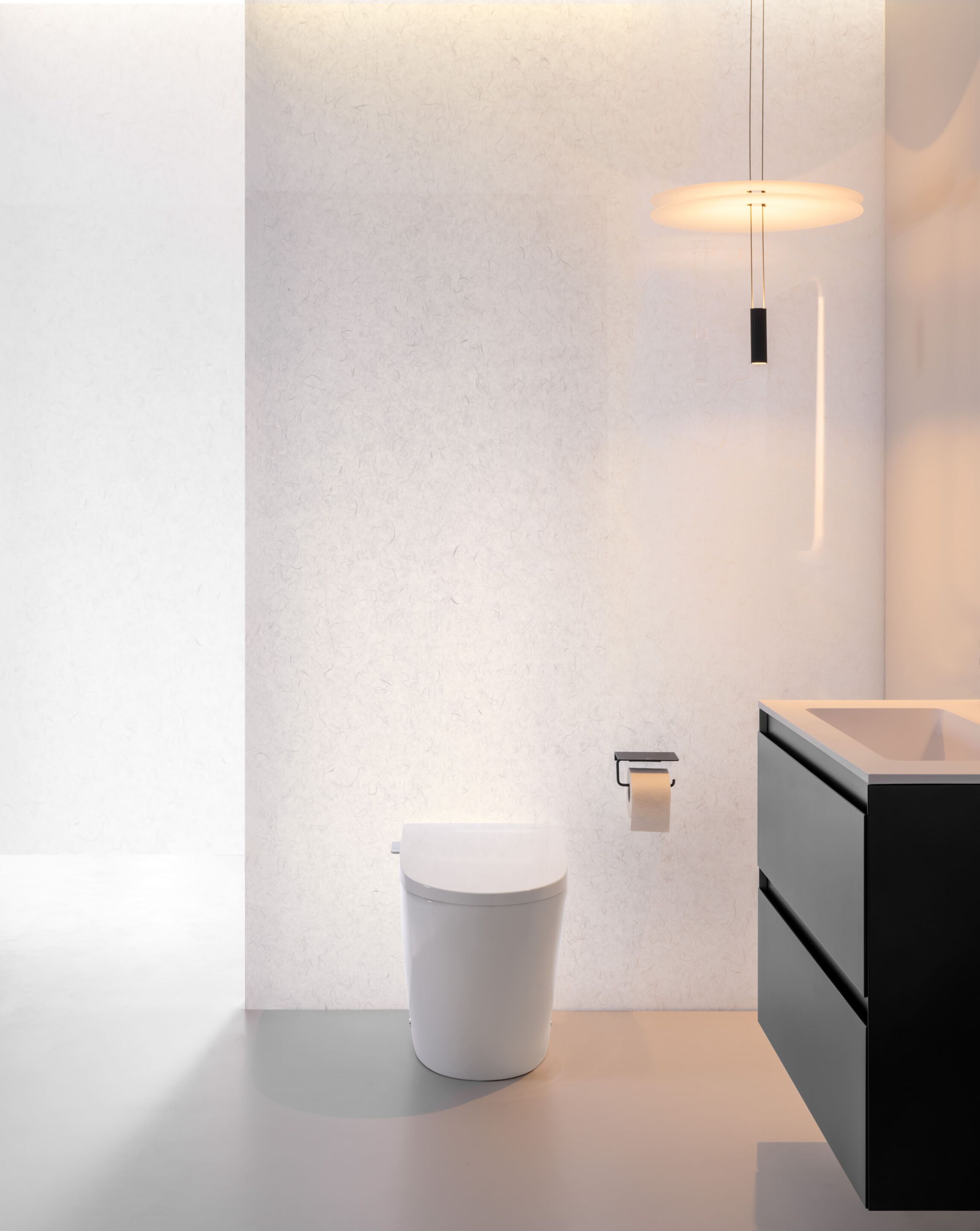 Моноблочный подвесной туалет со встроенной кассетой Roca AVANT A80336NS0H ARCH-00150307 - Вид №8