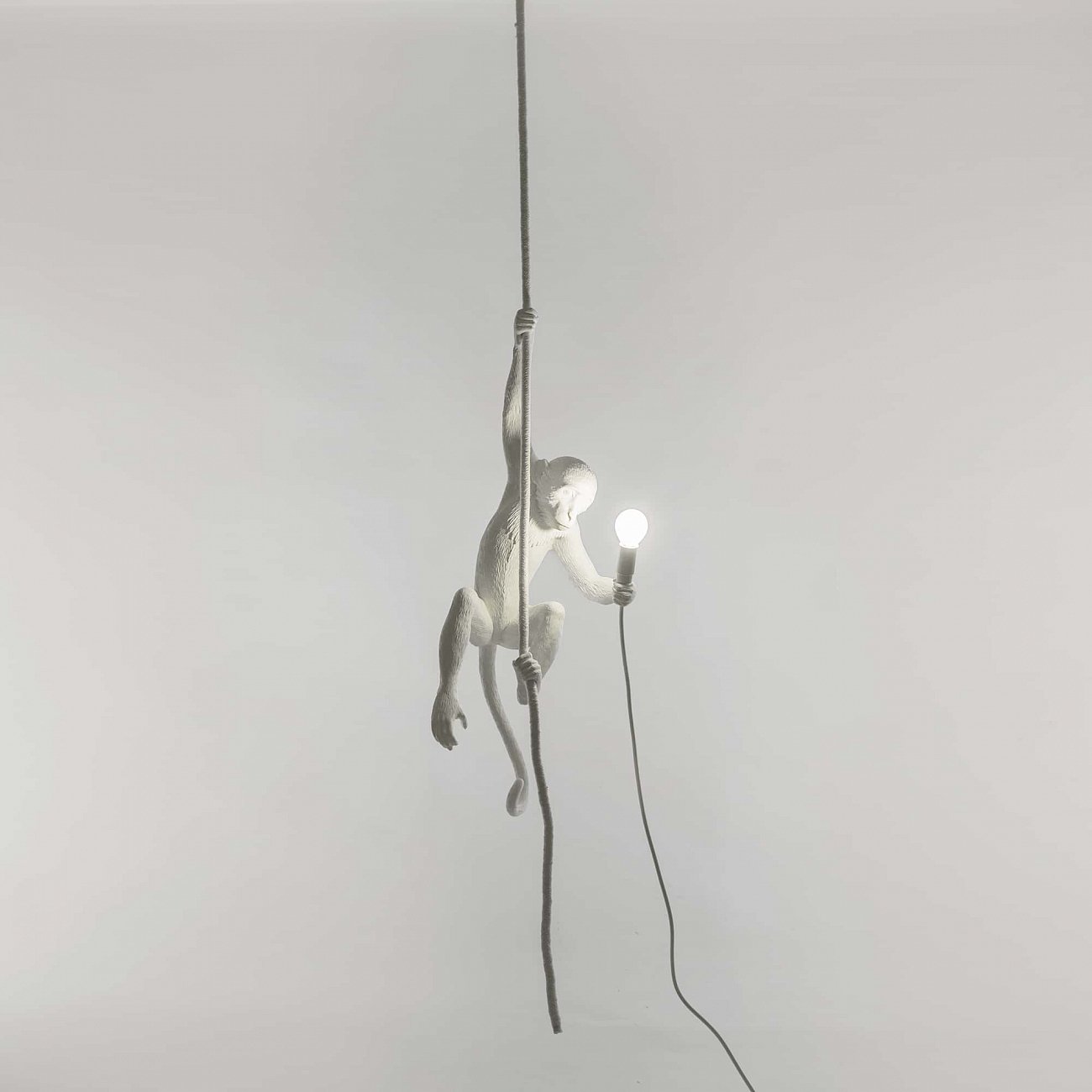Светильник подвесной 80х37 см белый Monkey Lamp Outdoor Ceiling 14929 SELETTI ДИЗАЙНЕРСКИЕ 00-3882383 Белый  - Вид №10