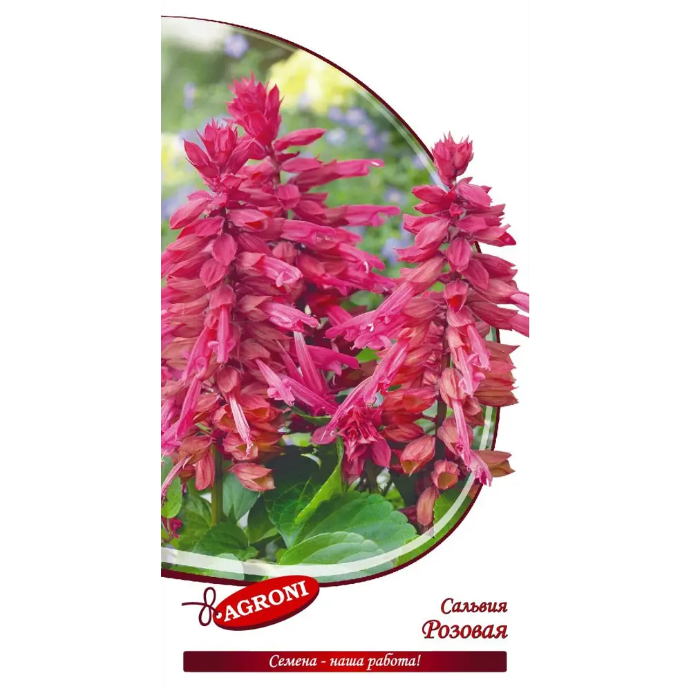 AGRONI Сальвия розовая - ароматные цветы для сада и балкона 13067677 STLM-1572862