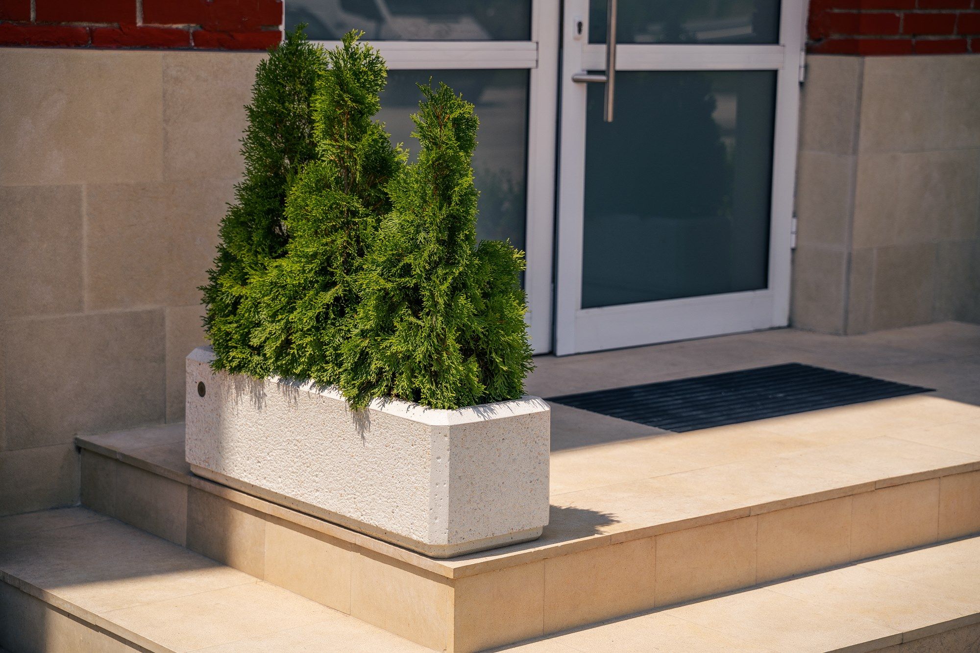 Бетонная плантатор ENCHO ENCHEV - ETE 80 ARCH-00097559 - Вид №7