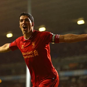 C1-166 Фотообои DIVINO Collection C 2.7х м