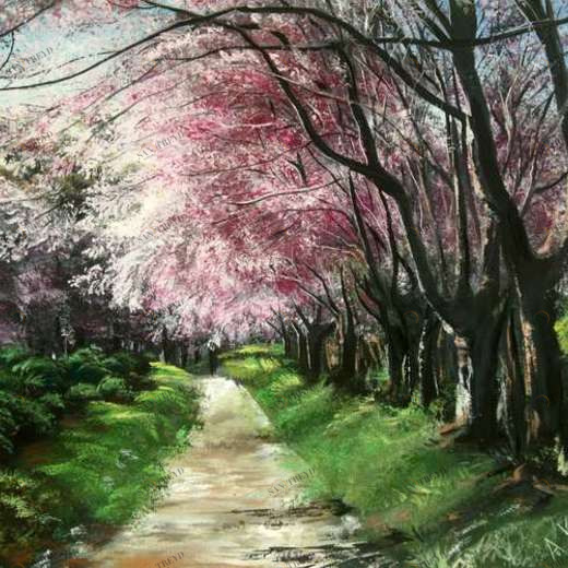 WP01606 Фотообои Verol Фотообои decoline 1х1 м