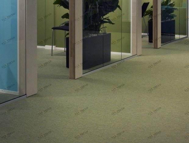 Kasthall Однотонный ковер  30410 