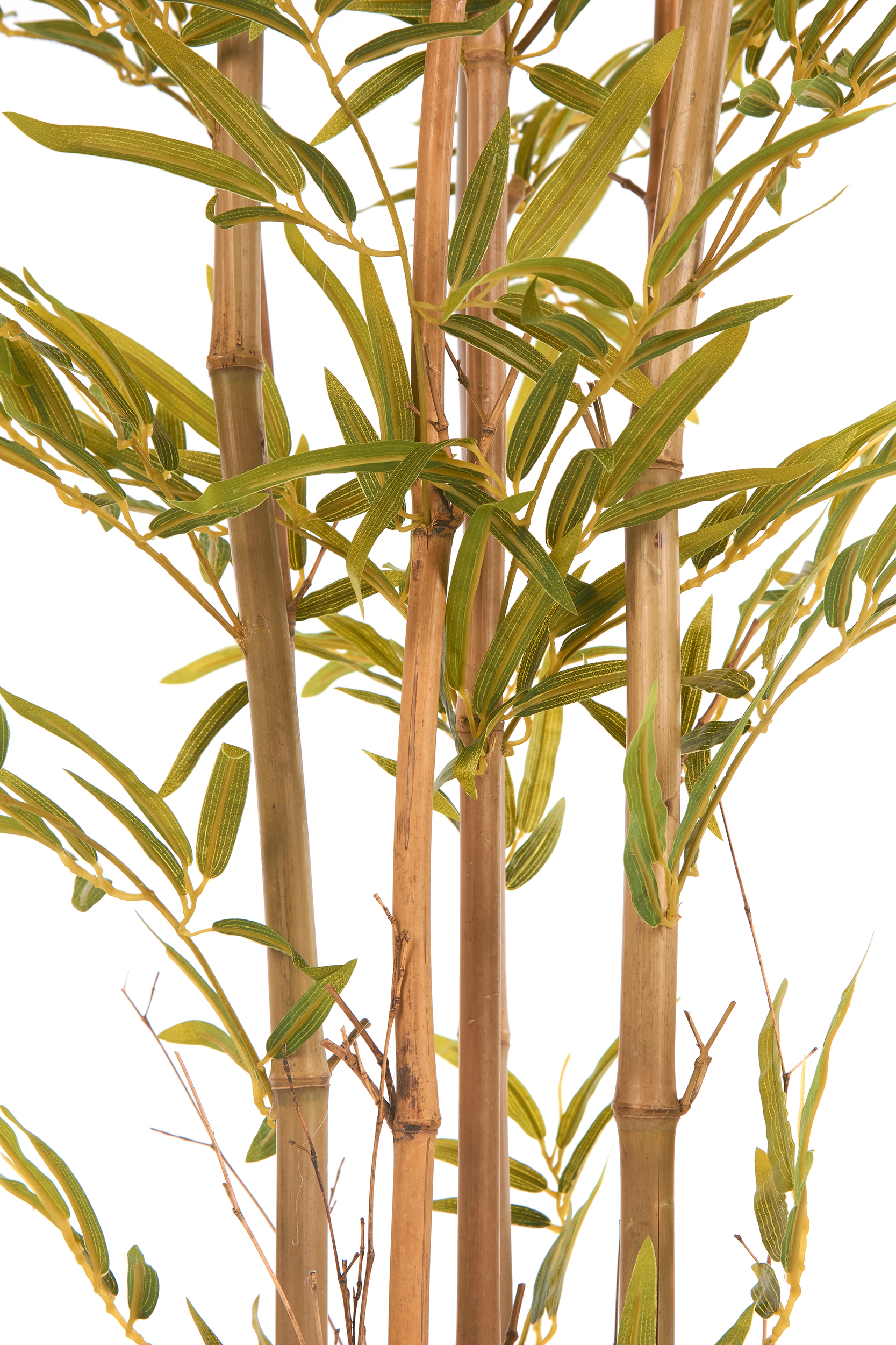 2000983223319 Бамбук высота 190 см GUDEE  - Вид №1