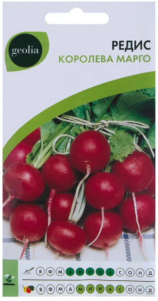 GEOLIA Редис Королева Марго — ранний сорт с нежным вкусом 17584946