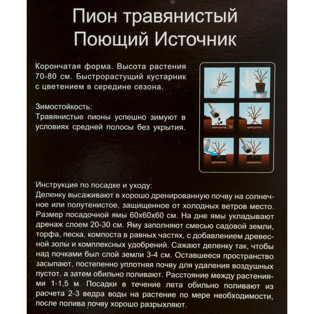 Пион травянистый Поющий источник 12194885 STLM-2031825 Santreyd  - Вид №1