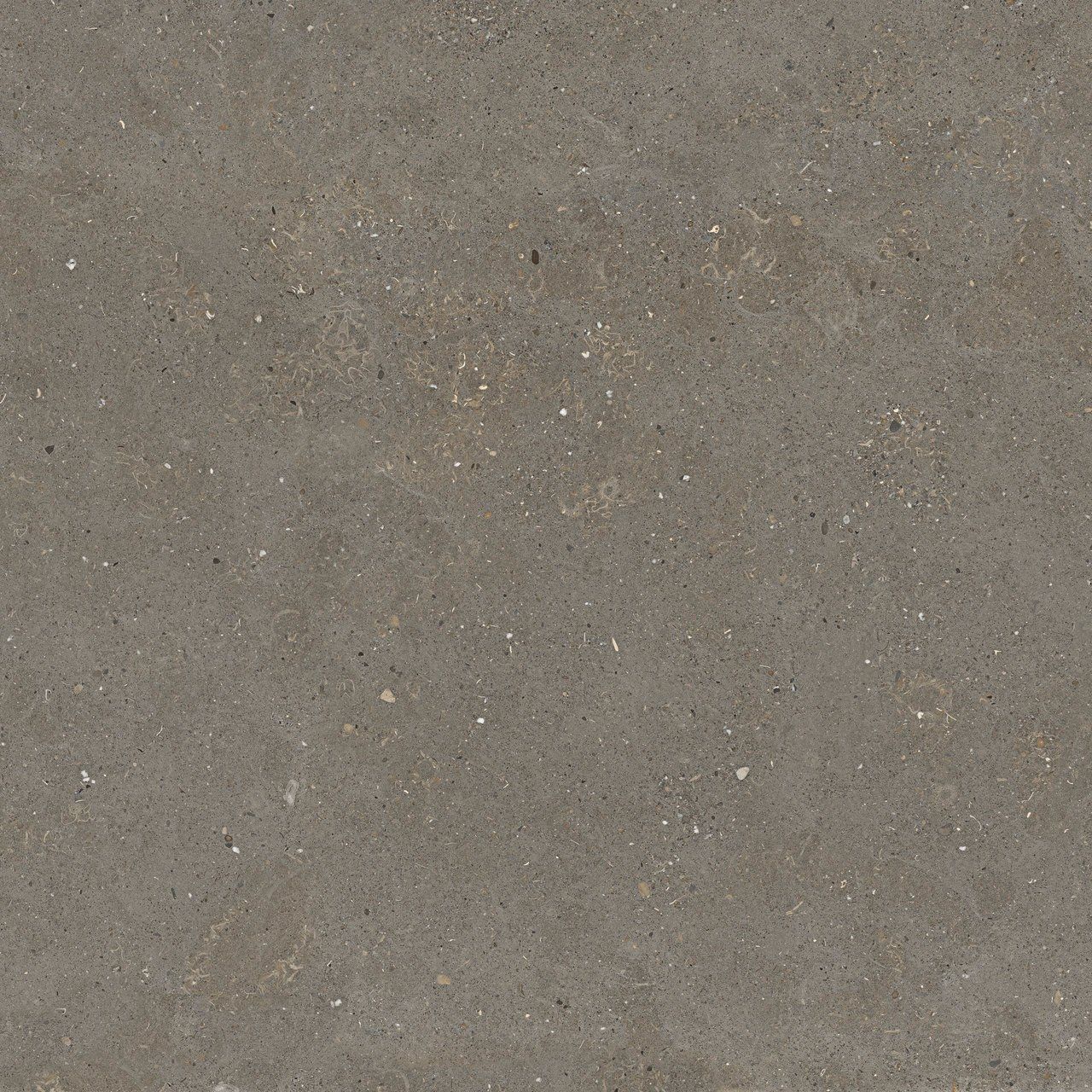 Пол / облицовка керамогранита с эффектом камня Fiandre сплошная ARCH-00087079 - Вид №25