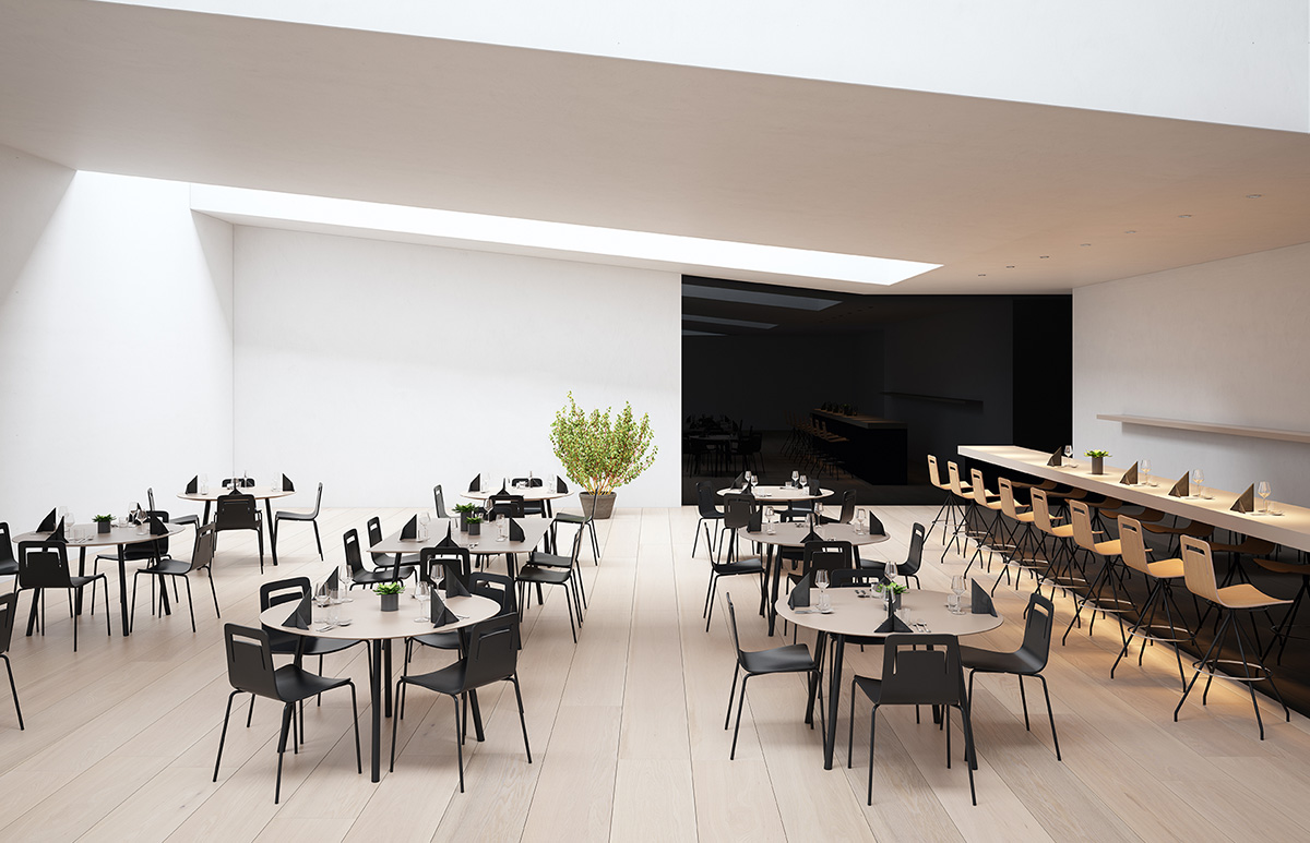 008184 Стул Viccarbe Klip - Вид №2