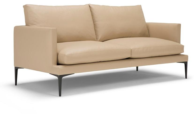 2-х местный кожаный диван Segno Am008.030 Santreyd - Вид №1