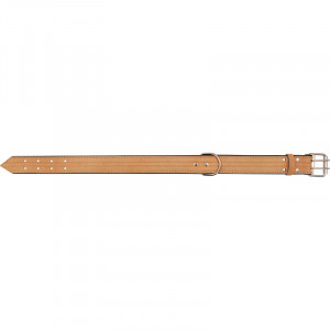 ПР0051477 Ошейник для собак HIGHT LINE 15мм тиснение, длина до 32см бежевый ZOOEXPRESS