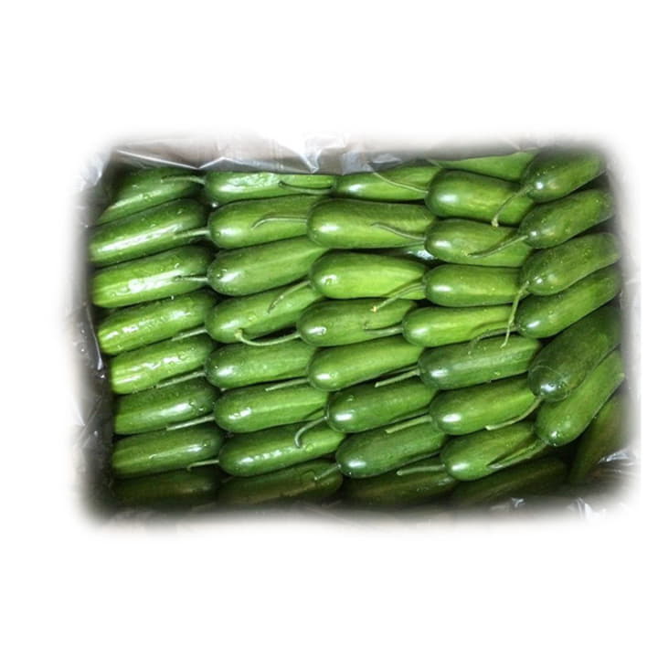 Огурцы бакинские темные в ящике ~12 кг Santreyd 19505