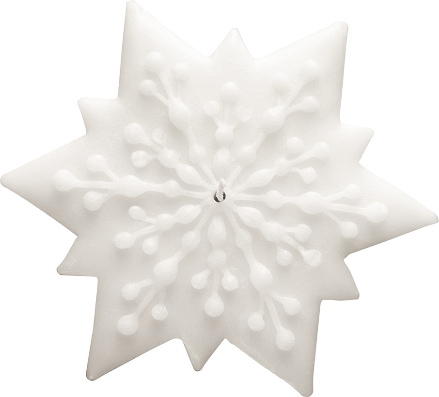 10572645 Point a la ligne Свеча ароматическая 11см "Бисквитная звезда" Воск 