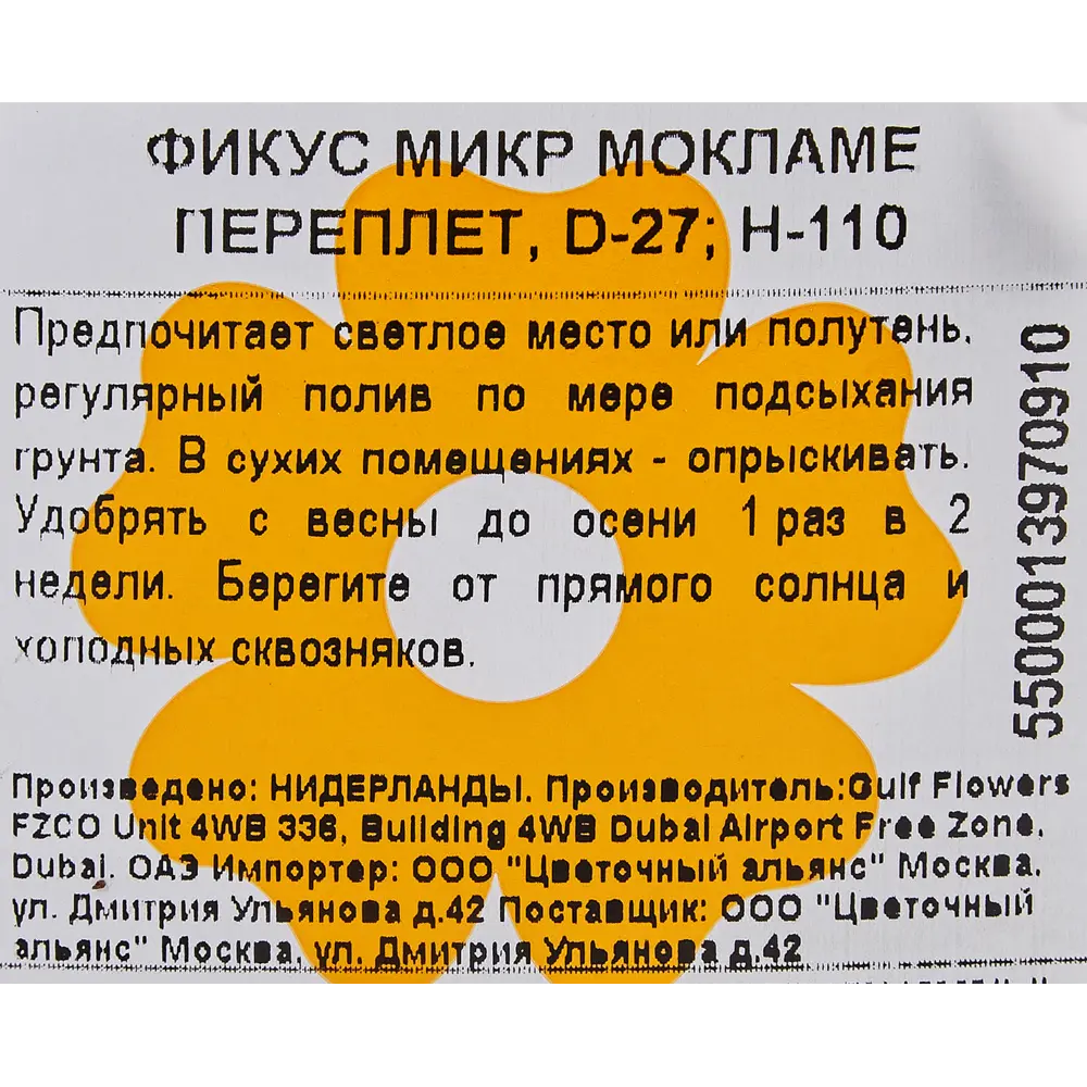 Фикус Микрокарпа Мокламе переплетённый 27x110 см 82850359 STLM-2054742 Santreyd  - Вид №2