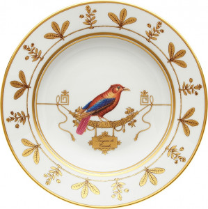 10647869 Richard Ginori Тарелка суповая 24.5 см Volie're Tangara du Canada Фарфор