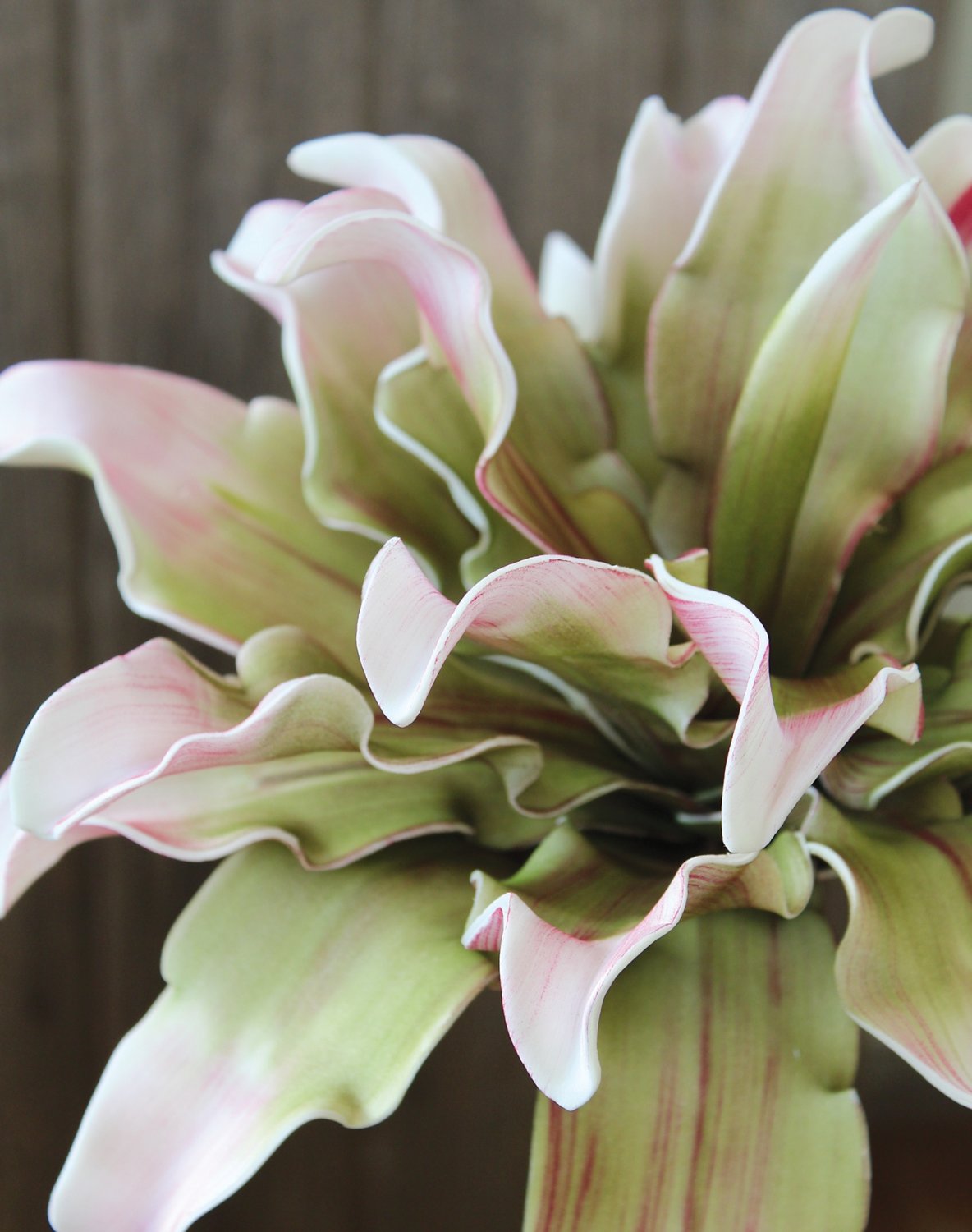 7898 508 a3 Искусственный протея мягкий цветок, 38 см, розово-зеленый H-andreas  - Вид №4