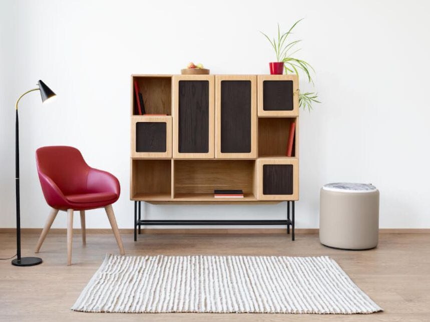 Шкаф из шпона с распашными дверями Radis Руби ARCH-00084293 - Вид №4