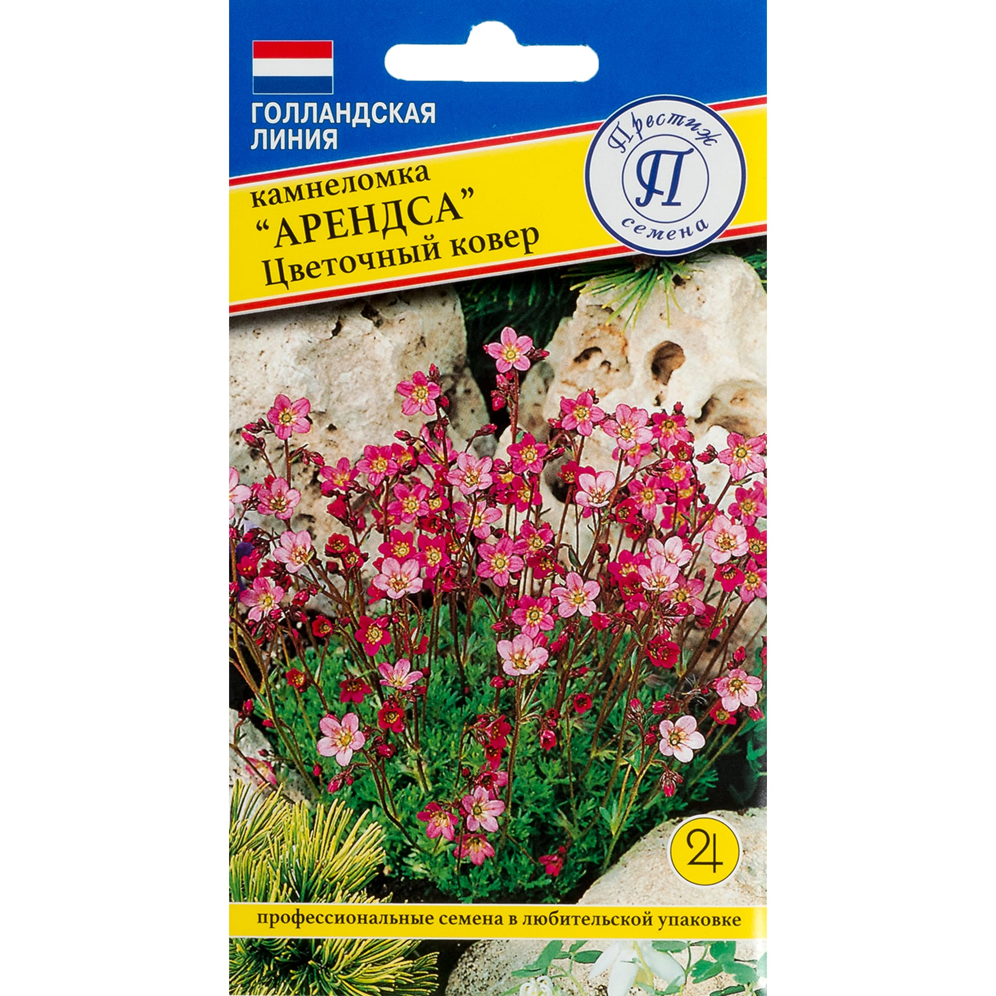 82107735 Камнеломка «Цветочный ковёр» Santreyd 