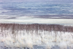 Фотокартина 70х47 см «180°» PANKOVSKY STUDIO ПЛАСТИФИКАЦИЯ 015884 Белый;голубой;серый