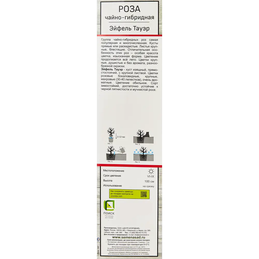 Роза чайно-гибридные «Эйфель Тауэр» 18348224 STLM-2044271 Santreyd  - Вид №2
