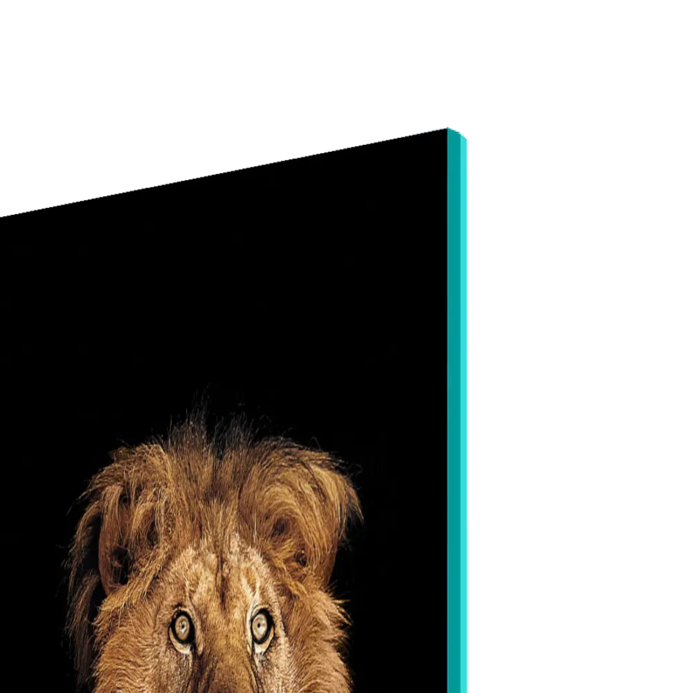 88734192 Картина на стекле Postermarket Лев 30x30 см STLM-1430595 Santreyd  - Вид №2