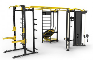 IZ-T Aerofit iz-t shape профессиональный комплекс для функциональных тренировок AeroFIT