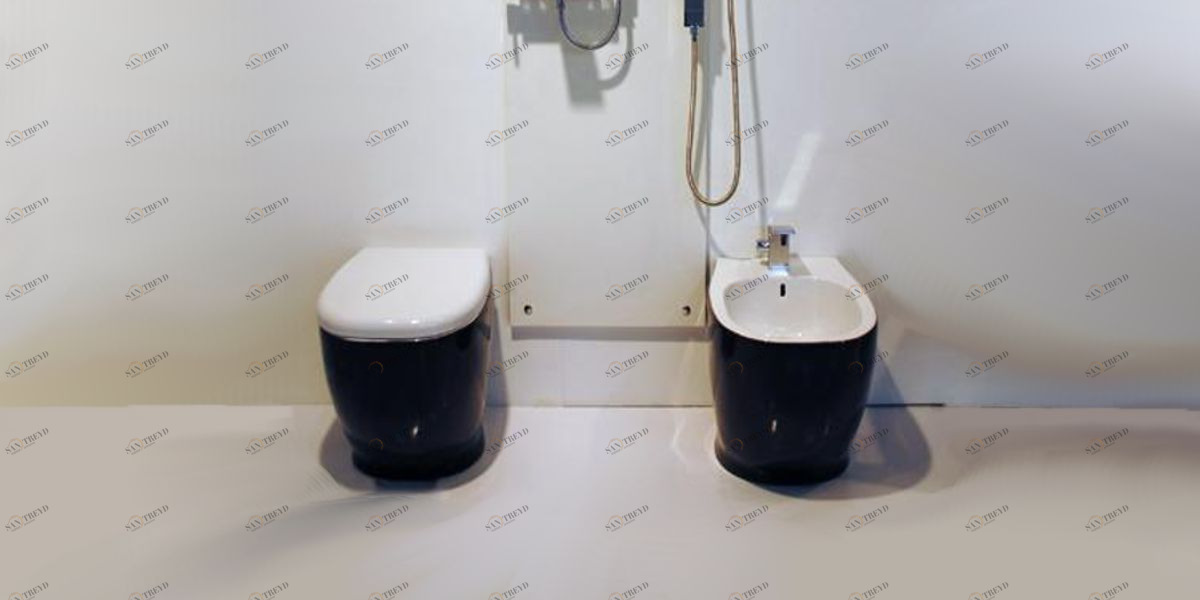 WG00600101 Биде напольное Weg Disegno Ceramica