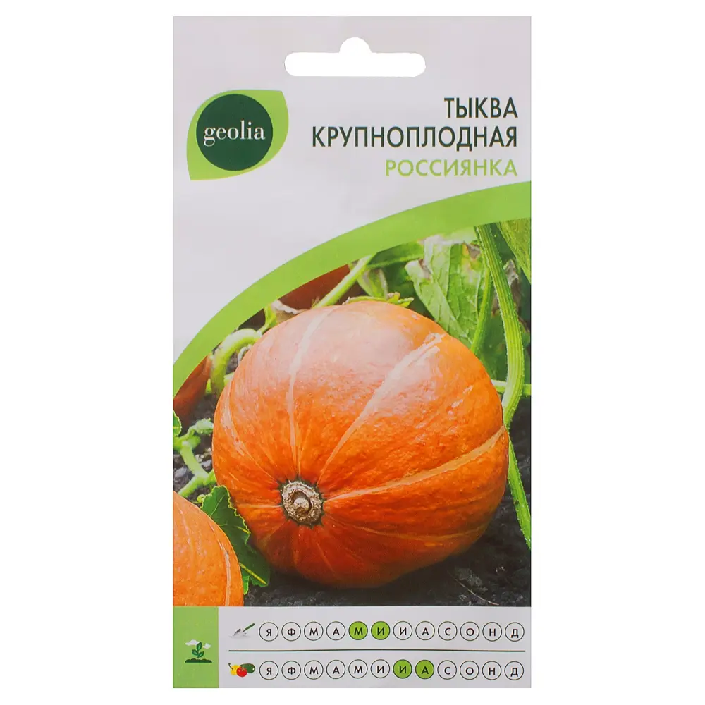 Семена тыквы Россиянка от GEOLIA - сладкий урожай для холодного климата 17584874 STLM-0008331