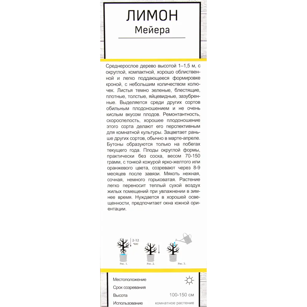 Лимон Мейера в тубе Поиск Инвест 82150809 STLM-2049853 Santreyd  - Вид №2