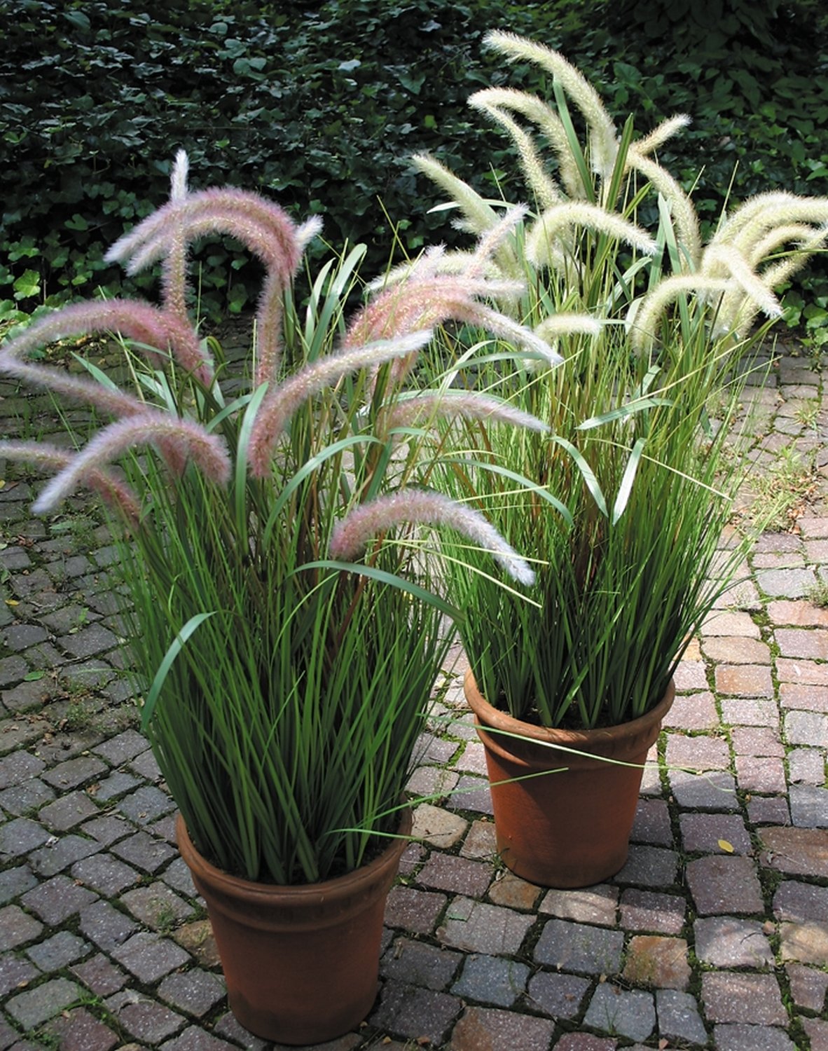 5405 788 a3 Искусственный куст из травы, горшечный, 65 см, бежево-зеленый H-andreas 